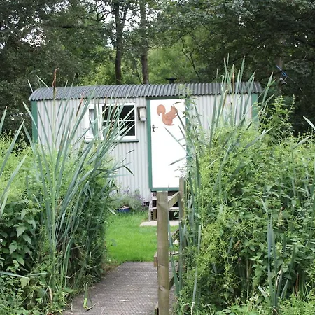 The Squirrels Drey Shepherds Hut Cowling